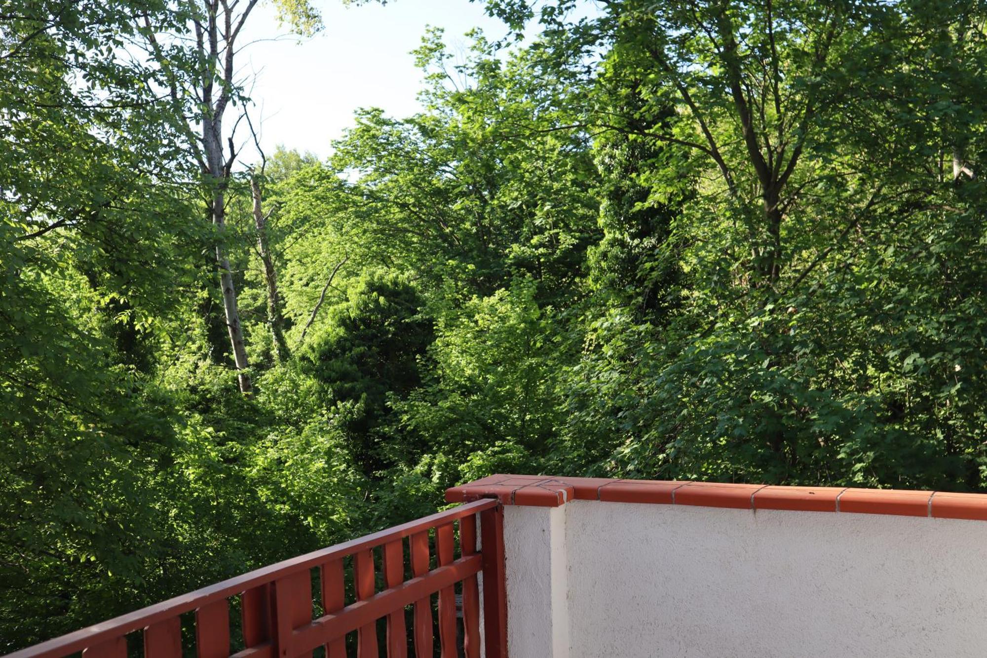 Villa Madarles Vendeghaz à Abaliget Extérieur photo